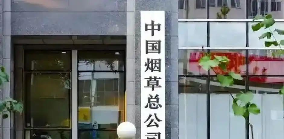 让一个意大利人执教巴西队，是病急乱投医还是真的“有料”？