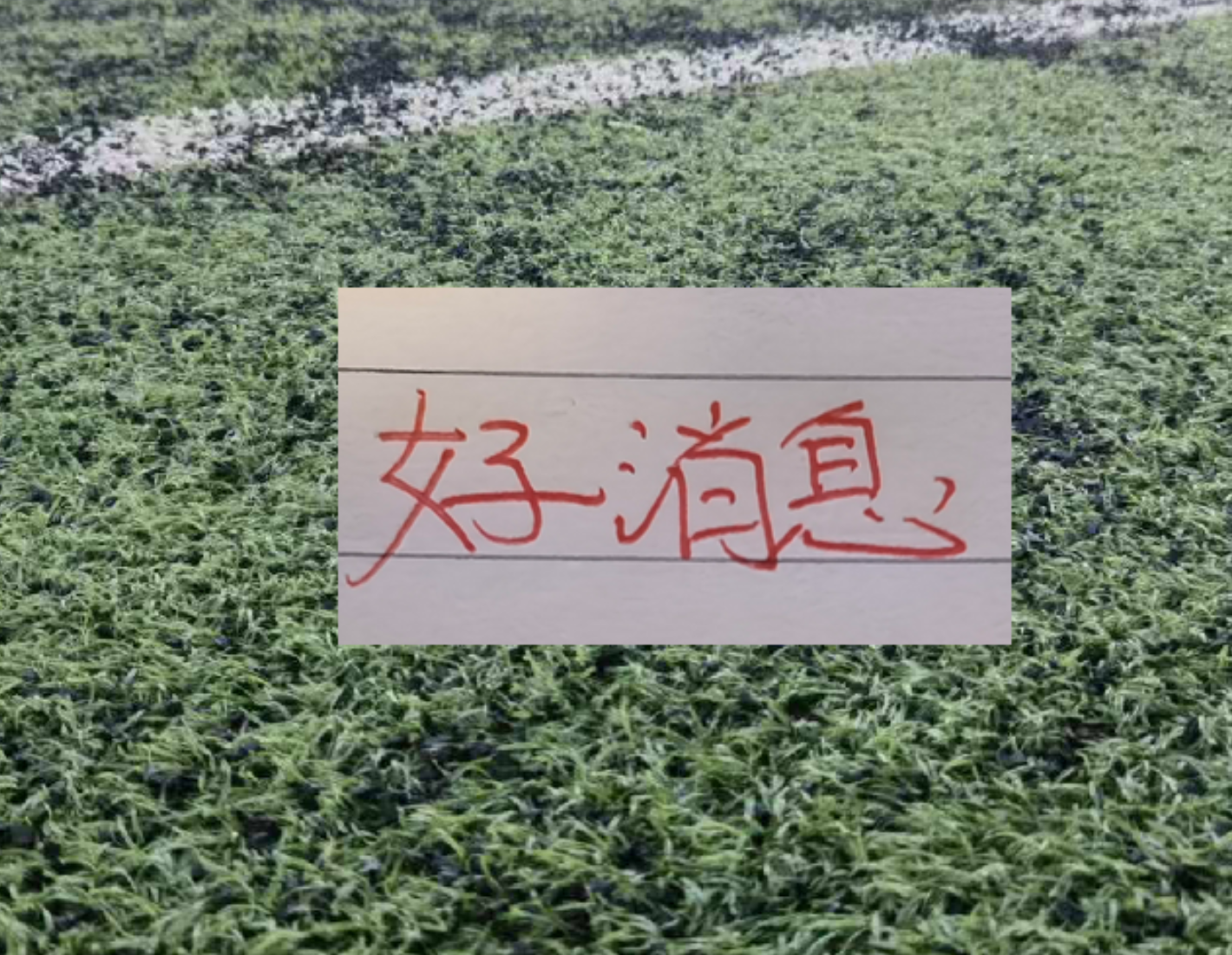 2026世界杯瑞士暂1